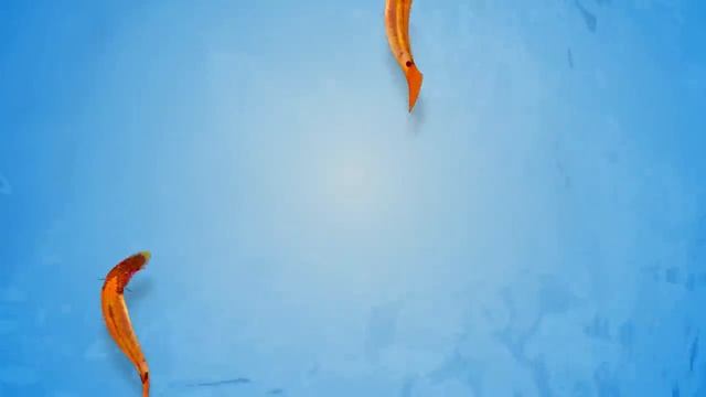 ?Cat Games - ? Catching Fish Remake 2023 (Video for Cats to watch) 4K смотреть онлайн