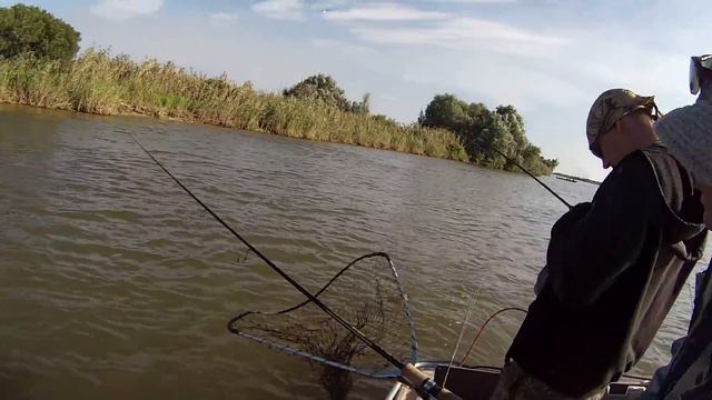 Осенняя рыбалка.Жерех.Астраханская обл.с.Житное.16 сентября 2016 г. смотреть онлайн