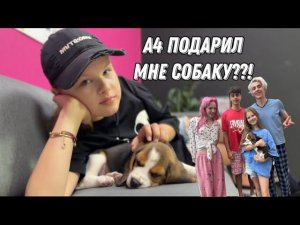 Влад А4, Марк и Риви подарили мне СОБАКУ! «24 часа в лимузине» / Мой концерт и ФАН-ВСТРЕЧА