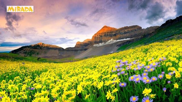 10 САМЫХ КРАСИВЫХ МЕСТ МИРА, это стоит увидеть! смотреть онлайн