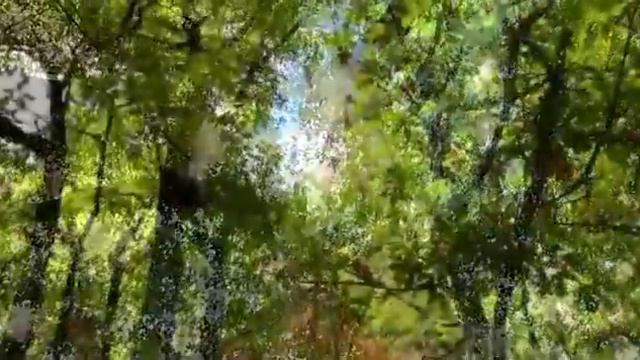 Grand Canyon of Crimea.flv смотреть онлайн