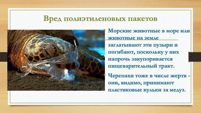 Жизнь без полиэтиленовых пакетов смотреть онлайн