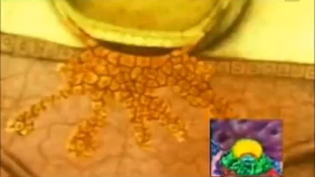 Presentation by Dr. Keith L. Moore: "Embryology in the Qur'an" смотреть онлайн