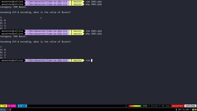2083 ZCE - UTF-8 Ç vale por 2 смотреть онлайн