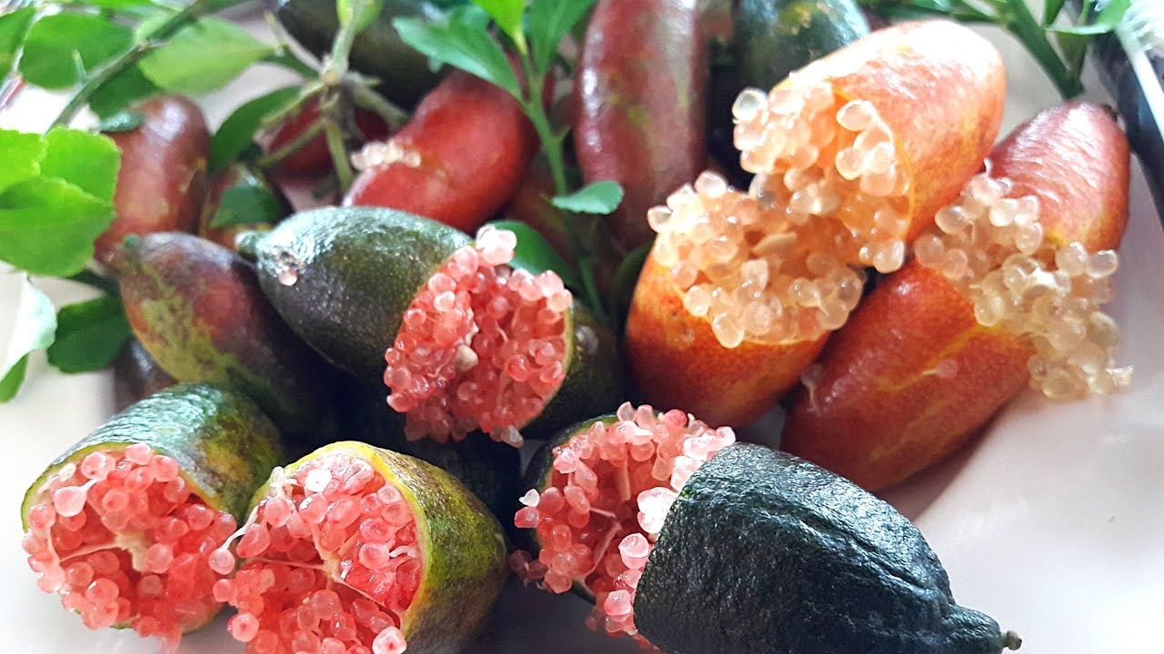 Пальчиковый лайм / Что за фрукт и с чем его едят смотреть онлайн