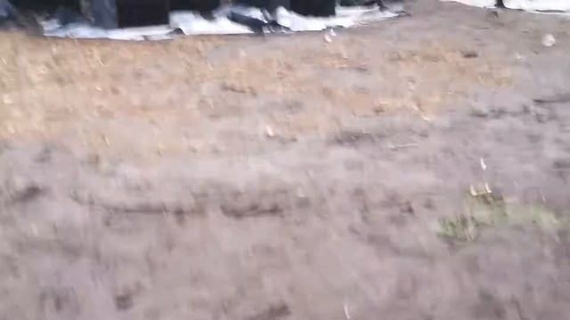 14.07.2017 ★ BETONOMESHALKA FEST: 2.0 ★ смотреть онлайн