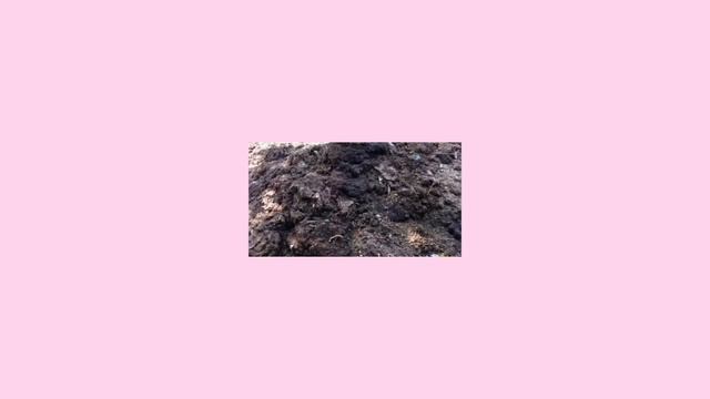 Le compostage ? Video Bonus [MOOC ZWM3 - Bonus: comment composter à la maison] смотреть онлайн