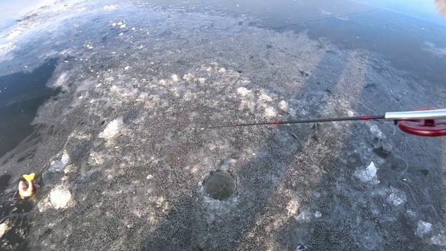 Руза. Щербинки. 6 декабря 2022. Ловля окуня на балду. смотреть онлайн