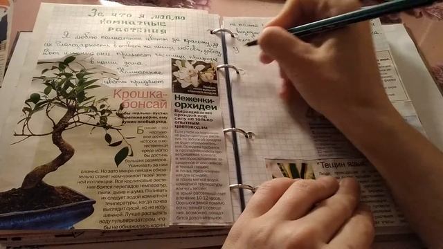 Личный дневник. Идеи для личного дневника. Разворот в ЛД про цветы,комнатные растения. смотреть онлайн