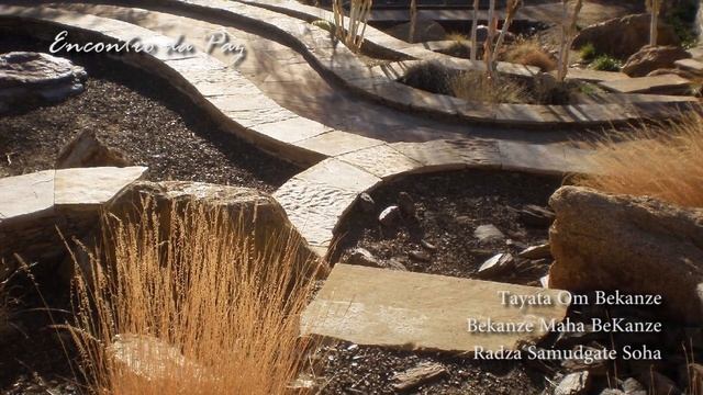 The Heart Mantra of Medicine смотреть онлайн