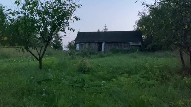 Сад, що розповідає історію смотреть онлайн