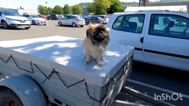 Едим на рыбалку по Франции. смотреть онлайн