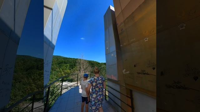 DisPodVideoArt Insta360