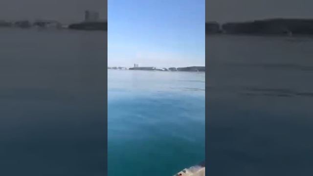 10 01 2021 утро рыбалка Кобулети Ставрида Видео Сулхан Нижарадзе სულხან ნიჟარაძე Аджария Грузия смотреть онлайн