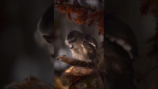 разумный? поворот смотреть онлайн