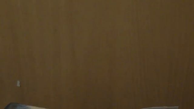 Мои покупки из зоомагазина смотреть онлайн