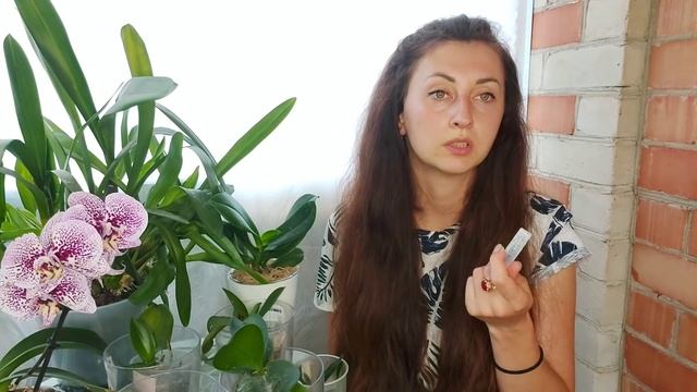 Дай орхидеи НИКОТИН и КОРНИ вырастут с НУЛЯ у БЕЗНАДЁЖНЫХ орхидей/ посадила орхидею без КОРНЕЙ смотреть онлайн