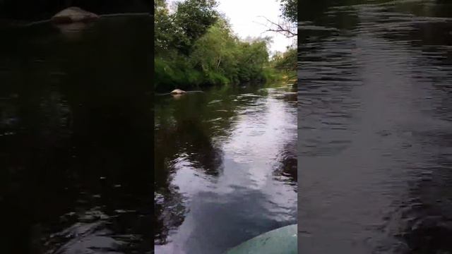 река Паша смотреть онлайн