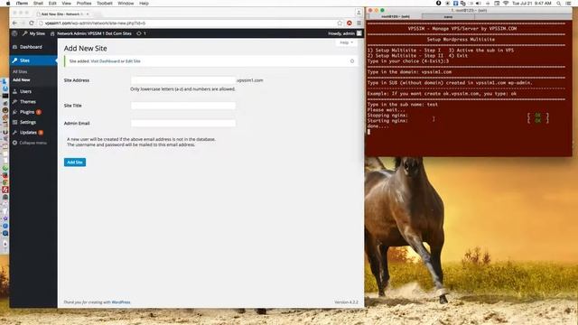 IV - How to use "Setup Wordpress Multisite" function in VPSSIM смотреть онлайн