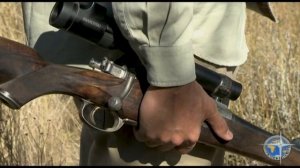 Охота на Льва в Африке.Lion hunting. Анонс