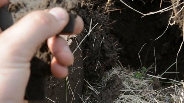 Приборный поиск. По следам медведей,в поисках старины. смотреть онлайн