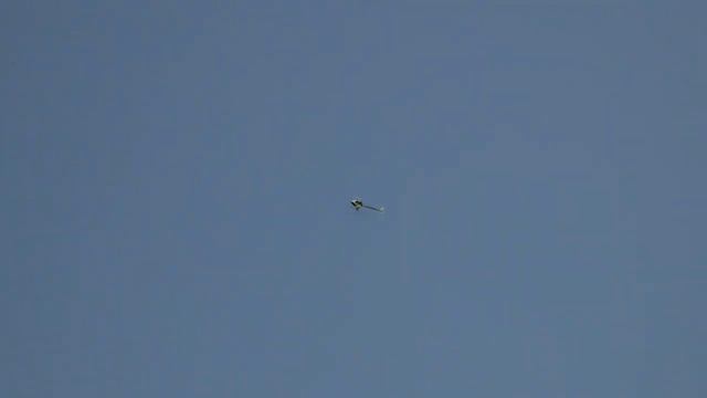Sony FDR AX700 and LOGO 550SE RC Helicopter смотреть онлайн