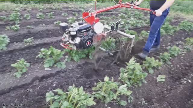 Самодельные ежи для прополки картофеля. Изготовление! Испытания! смотреть онлайн