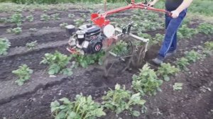 Самодельные ежи для прополки картофеля. Изготовление! Испытания!