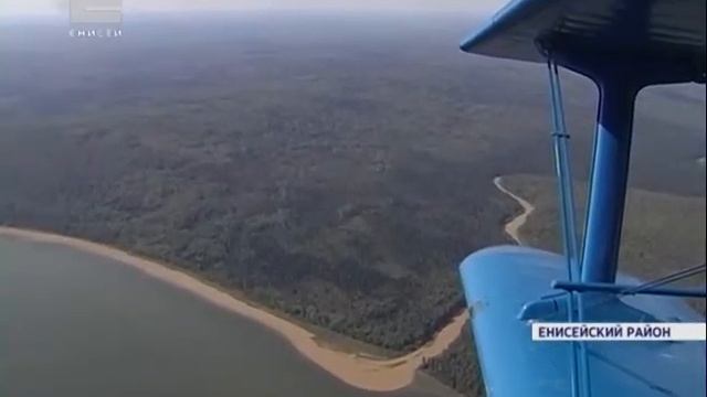 20 мая в Енисейском районе начнется обработка тайги от сибирского шелкопряда смотреть онлайн