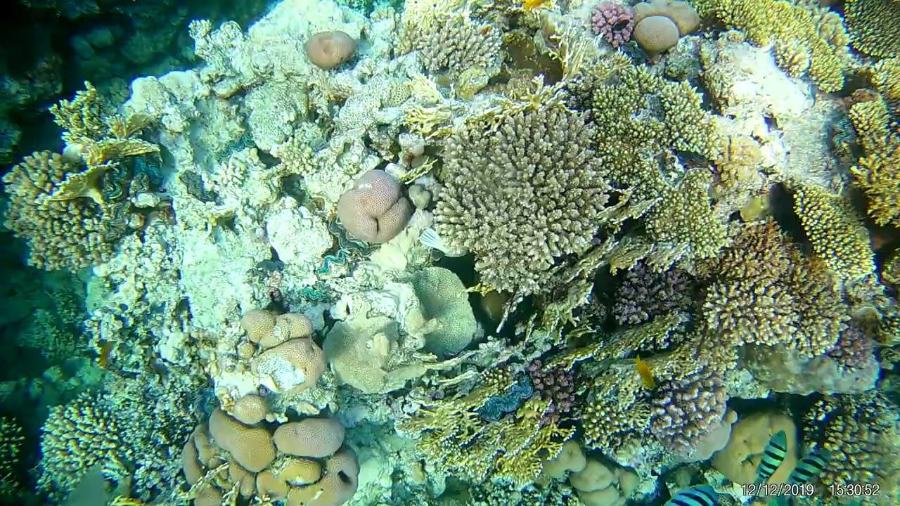 лупатая 2 смотреть онлайн