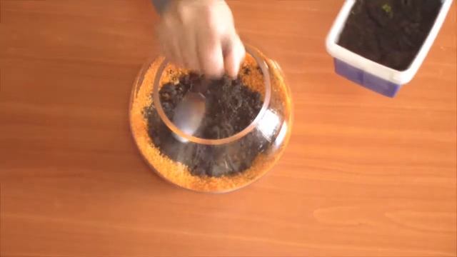 Флорариум своими руками / Terrarium diy смотреть онлайн
