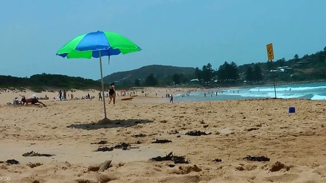 Panasonic HDC SD600 Avalon Beach Australia смотреть онлайн