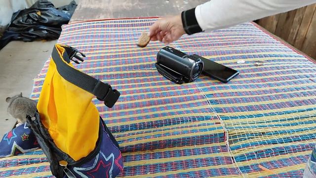 Соня Полчок смотреть онлайн