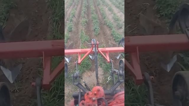 Испытание навески т-16 на акучивании картофеля смотреть онлайн