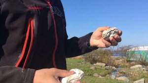 ОСТРОВ РУССКИЙ. Обзор популярных мест. Песчаный пляж.