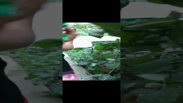 качаем не видео друга 5 смотреть онлайн