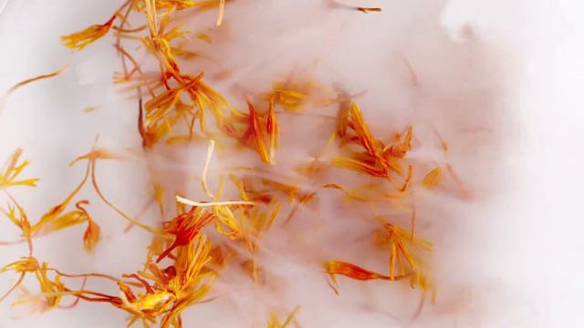 L'Oréal - Botanicals Fresh Care - Safflower смотреть онлайн