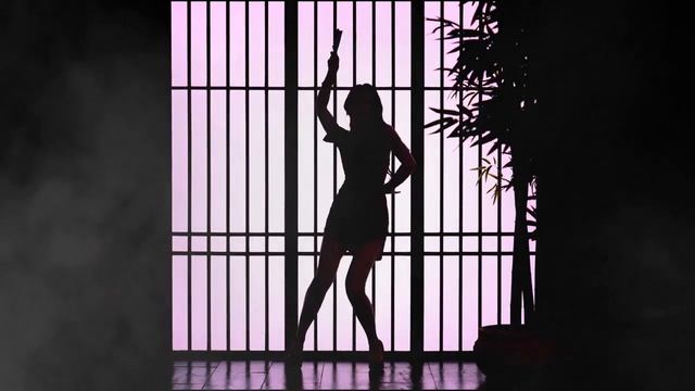 День и ночь я пробовала танцевать. 紫嘉儿 смотреть онлайн