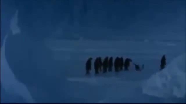 Невозмутимые пингвины 1 смотреть онлайн