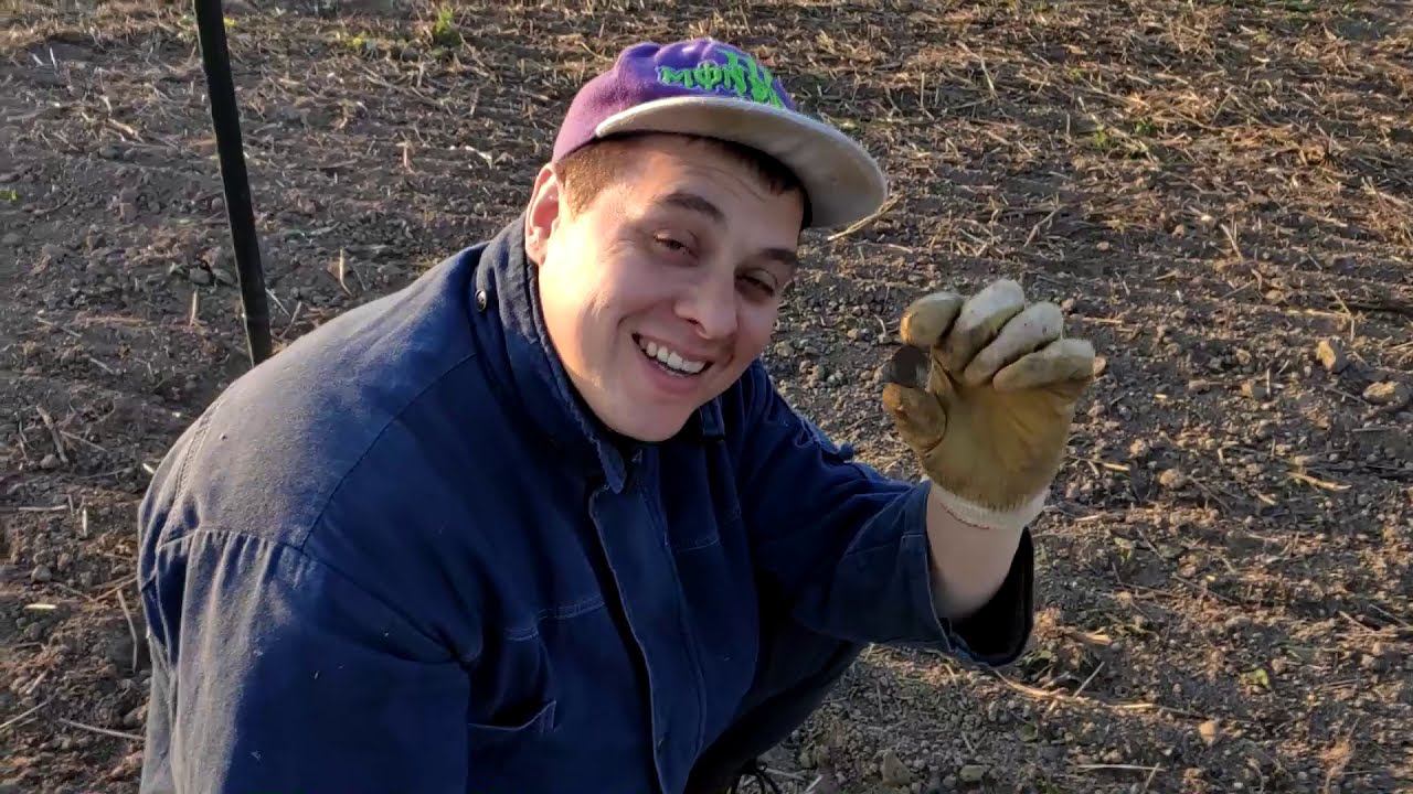 Металлокоп. подарок от Ивана Грозного. смотреть онлайн