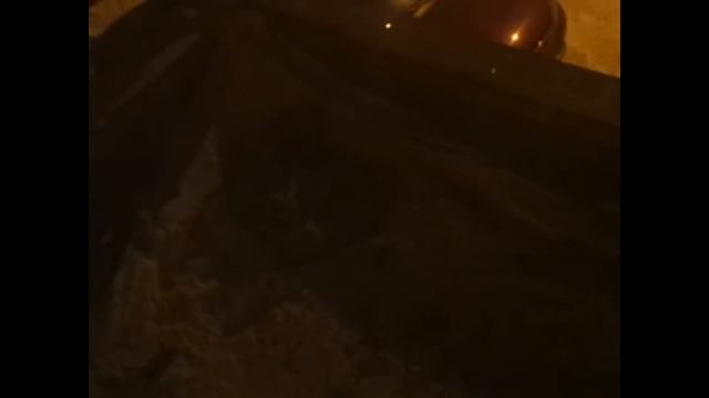 Тело девочки обнаружили на козырьке дома в Калуге смотреть онлайн