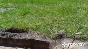 Благоустройство парка часть 3(заливка фундамента под подпорные стенки)