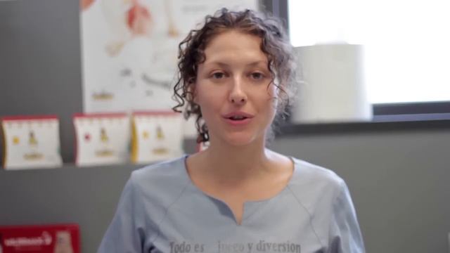 Cómo Educar A Un Cachorro A Hacer Sus Necesidades | Adiestramiento Canino смотреть онлайн