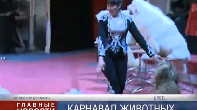 Карнавал зверей смотреть онлайн