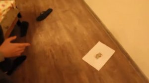 Вызов духов Пиковый Король ЭТО ПОСЛЕДНИЙ РОЛИК!