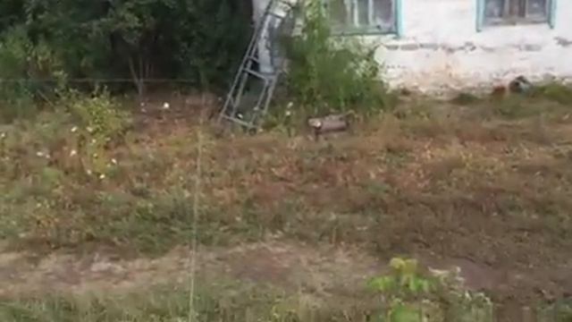 Первая разметка участка! Энгельс Асамблея смотреть онлайн