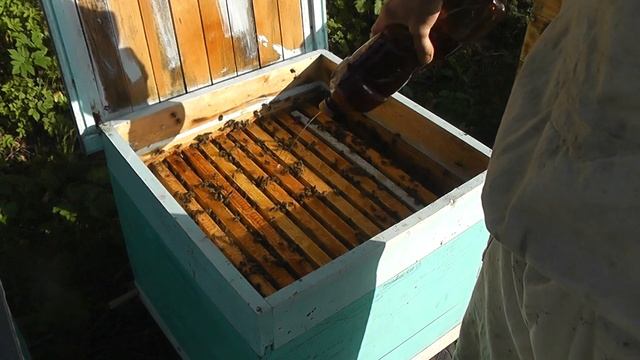 перед зимовкой делаю профилактику нозематоза смотреть онлайн