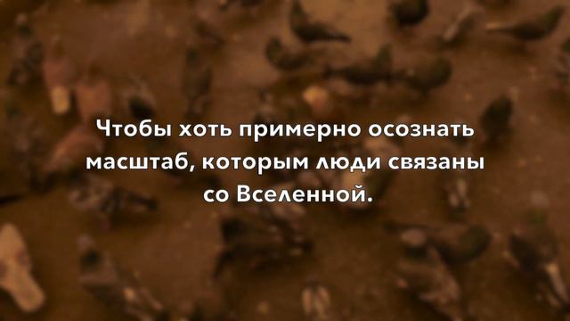 РЕАЛЬНЫЙ МАСШТАБ смотреть онлайн