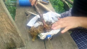 размножение черешни