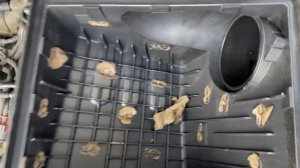 Renault laguna заводится и глохнет